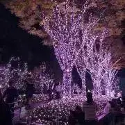 ohana 【5/2〜5/5発送不可】の画像