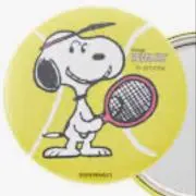 こーはるの画像