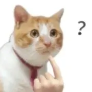 タクゴ