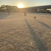 ブチの画像