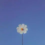 デの画像