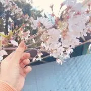 美香の画像