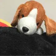 そんばる