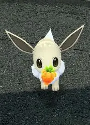 まろん。の画像
