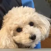 kの画像