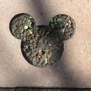 アラン☺︎