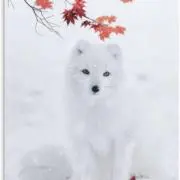 読書稲荷の画像