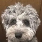 77の画像
