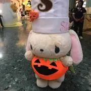 しろうさ