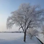 ち。