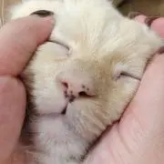 うーじの画像