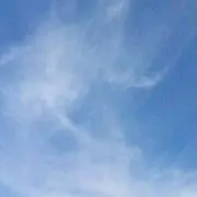 めるめるこ