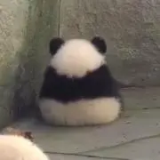 ㍉の画像