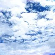 あらかると本舗★8/4より臨時休業の画像