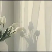 ねね