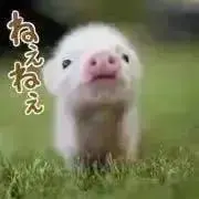 300円オークションの画像