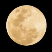 ゆうの画像