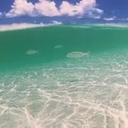 ユミまま