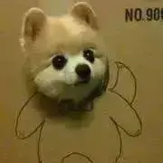 Noyosanの画像