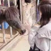 のんびり　値下交渉はプロフご確認くださいの画像