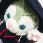 めありの画像