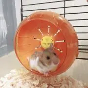 すい