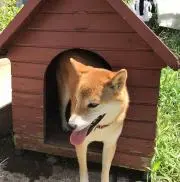 Maricariの画像