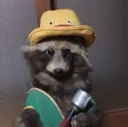 マコの画像