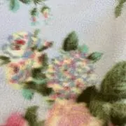 みすずの画像
