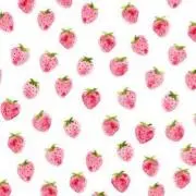 suaの画像