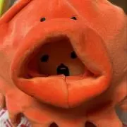 なちの画像