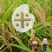 oyabin
