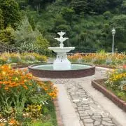 しげちーの画像
