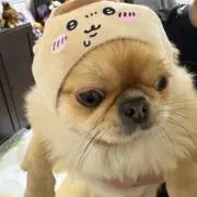 YU-KI