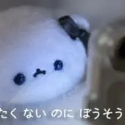 ねむむの画像