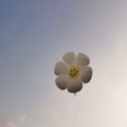 もか♪