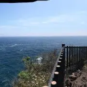 太郎の画像