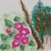 cocomamaの画像