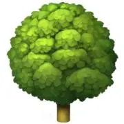 りーもの画像