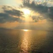 yakkoの画像