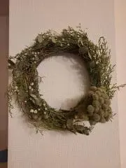 Haruuの画像