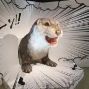 みかんの画像