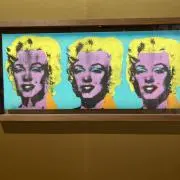 しまの画像