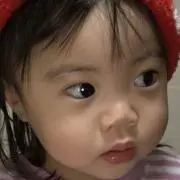 まるぽちゃの画像