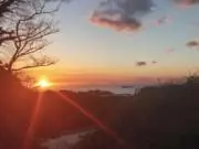 あなぐまの画像