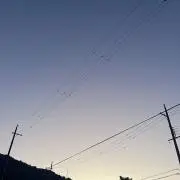 春の画像