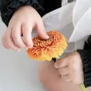 うさの画像