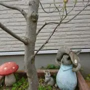 まめ007の画像