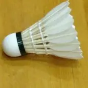しんちゃんの画像