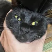 七瀬